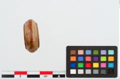 Foto von Bernsteinringperle (NHMW-PRAE-023979)